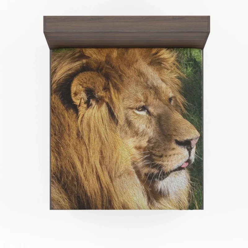 Regal Stance Lion Kingly Presence Fitted Sheet 1