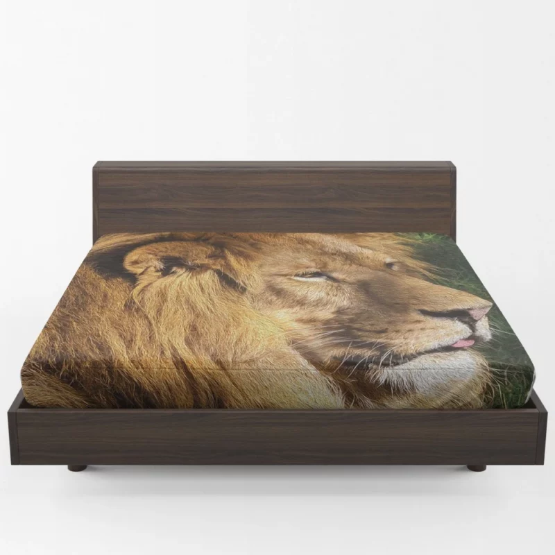 Regal Stance Lion Kingly Presence Fitted Sheet