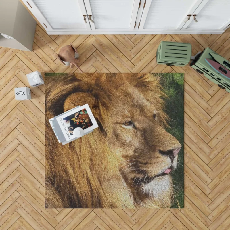 Regal Stance Lion Kingly Presence Rug