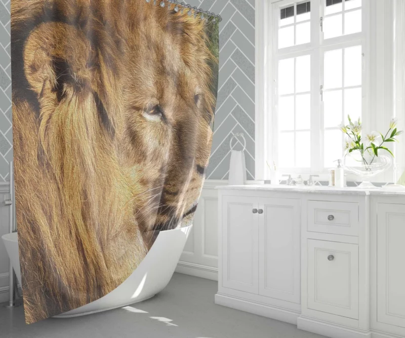 Regal Stance Lion Kingly Presence Shower Curtain 1