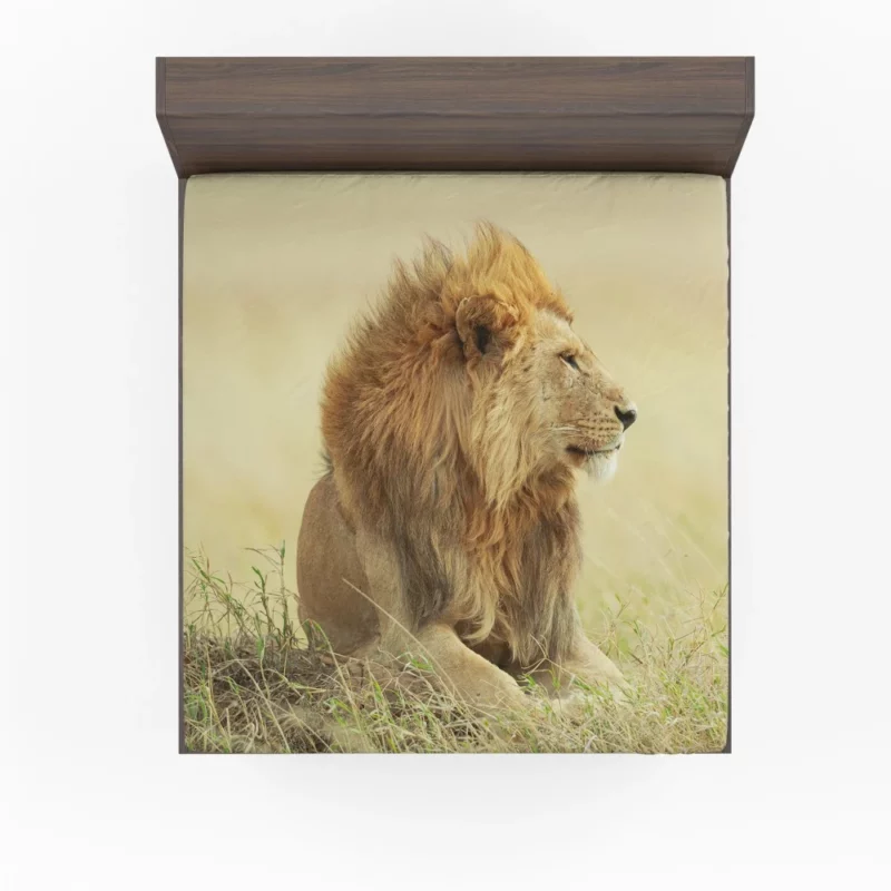 Regal Stance Lion Majesty Fitted Sheet 1