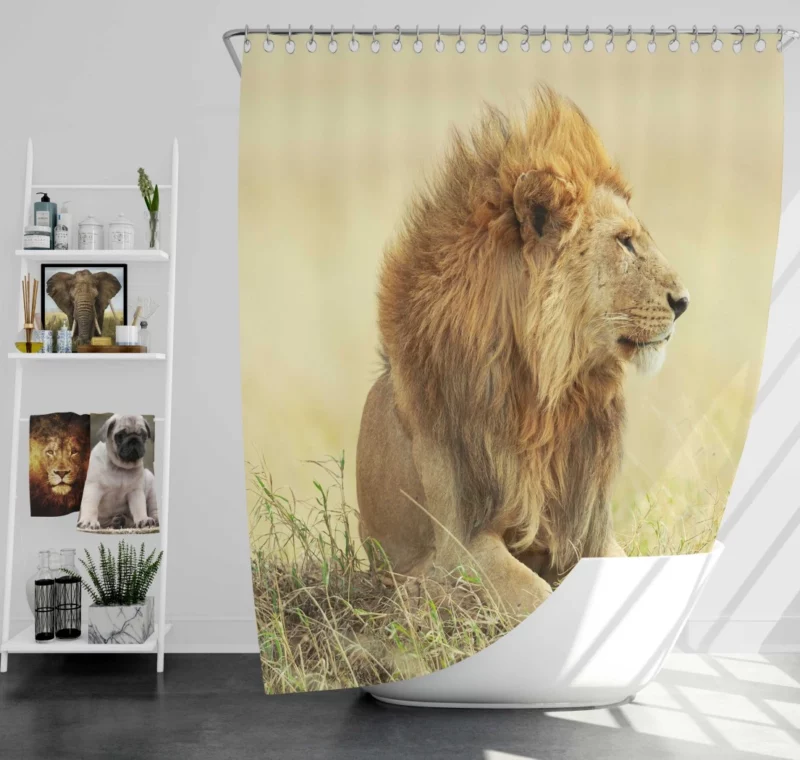 Regal Stance Lion Majesty Shower Curtain