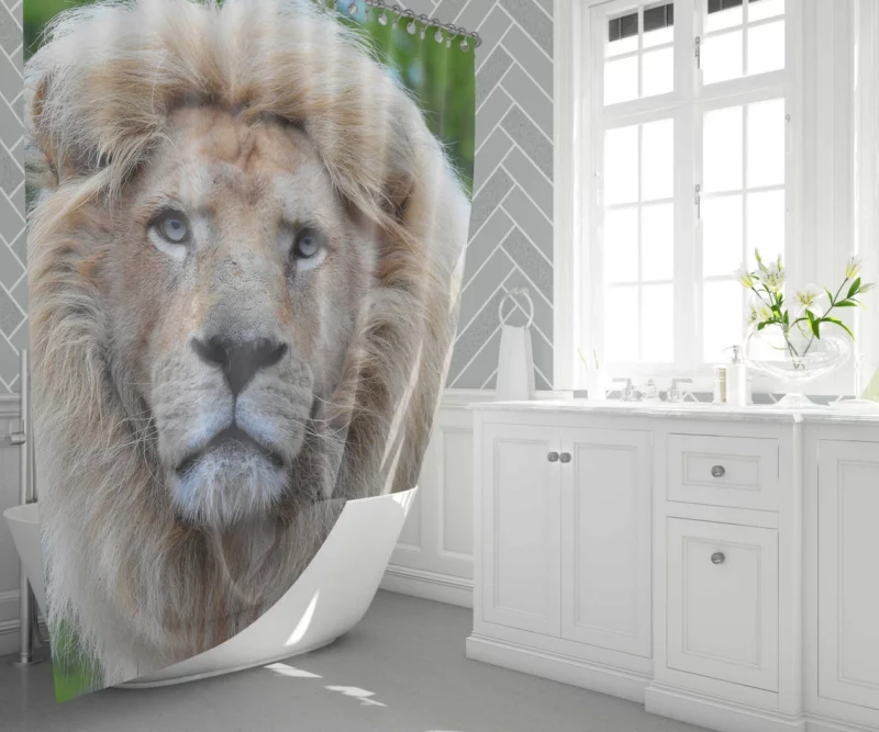 Regal Stance Lion Shower Curtain 1