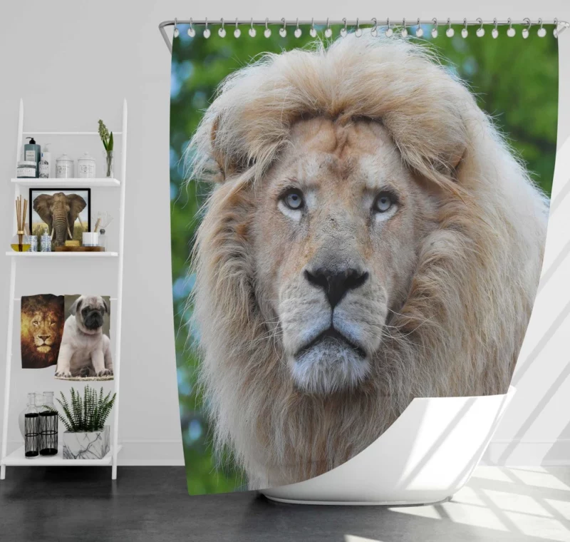 Regal Stance Lion Shower Curtain