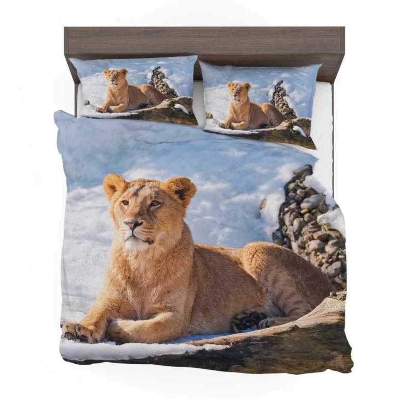 Relaxing Lioness Amidst Snow Bedding Set 1