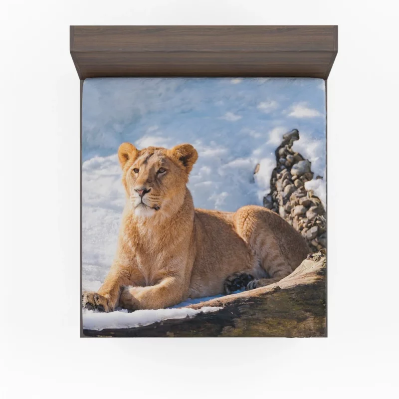 Relaxing Lioness Amidst Snow Fitted Sheet 1