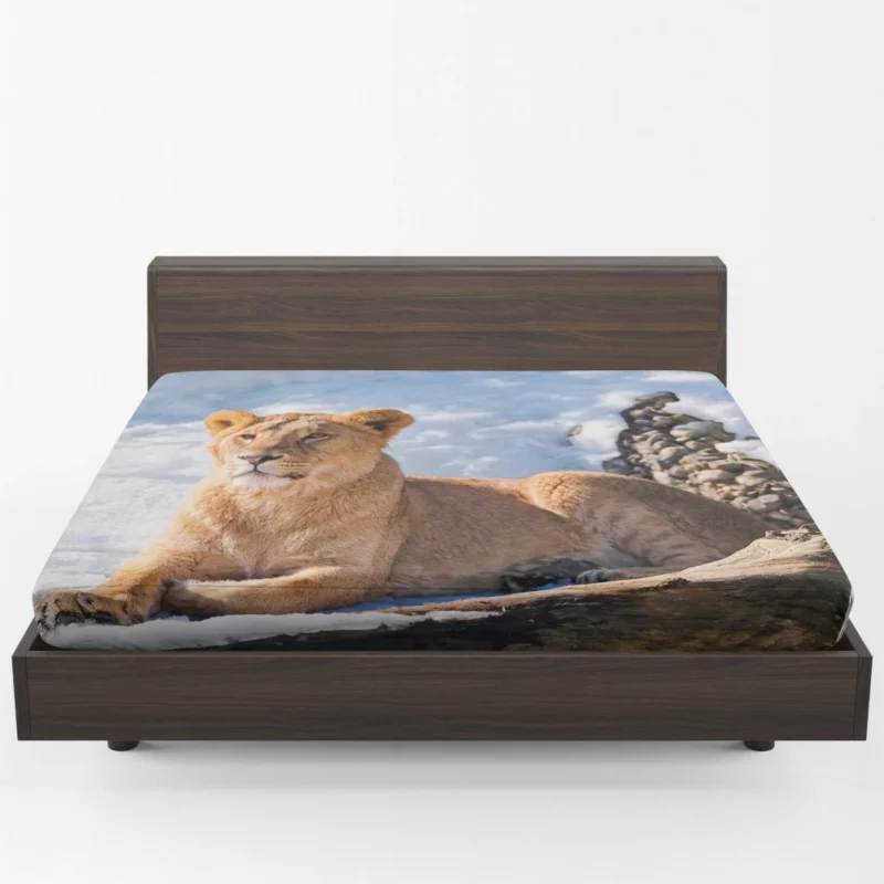 Relaxing Lioness Amidst Snow Fitted Sheet