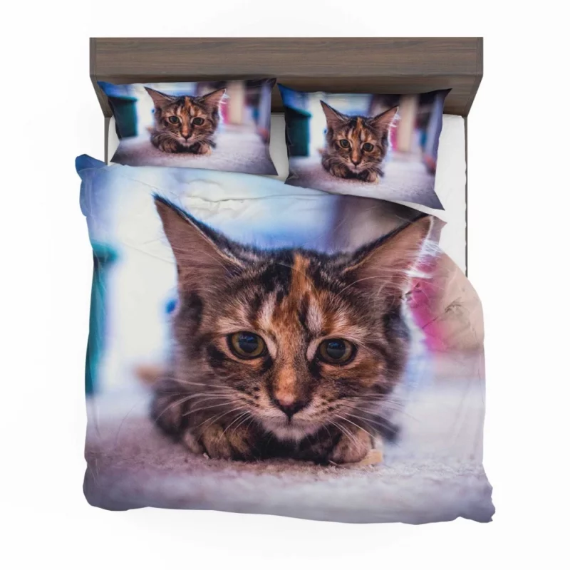 Restful Kitten Feline Serenity Bedding Set 1