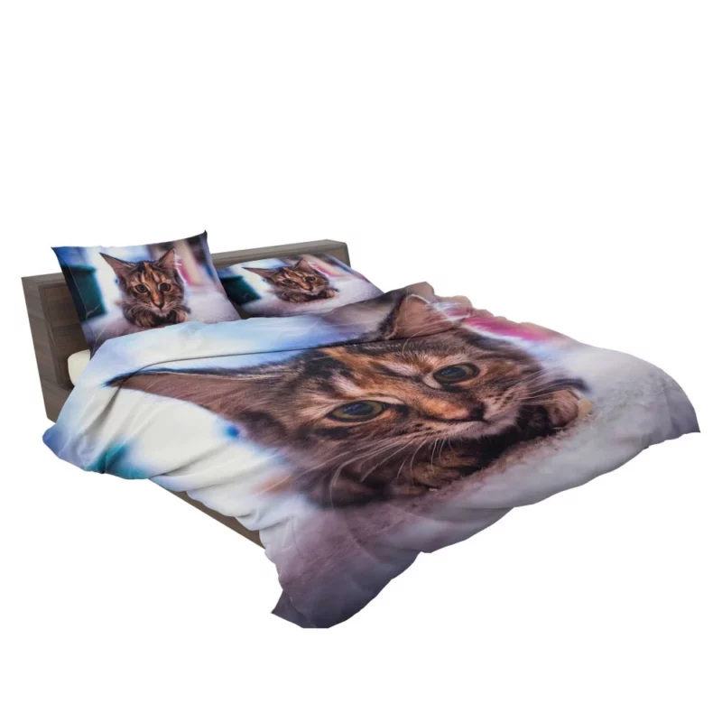 Restful Kitten Feline Serenity Bedding Set 2