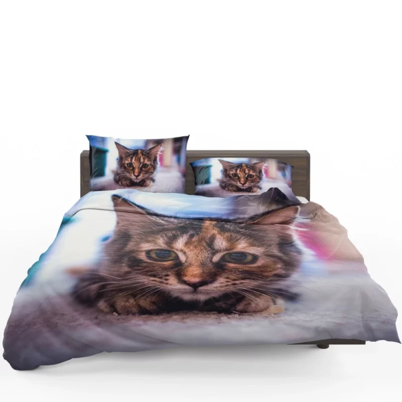 Restful Kitten Feline Serenity Bedding Set