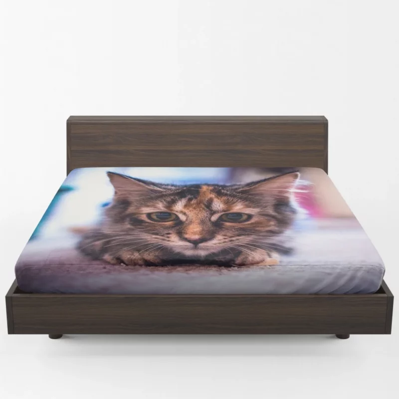 Restful Kitten Feline Serenity Fitted Sheet