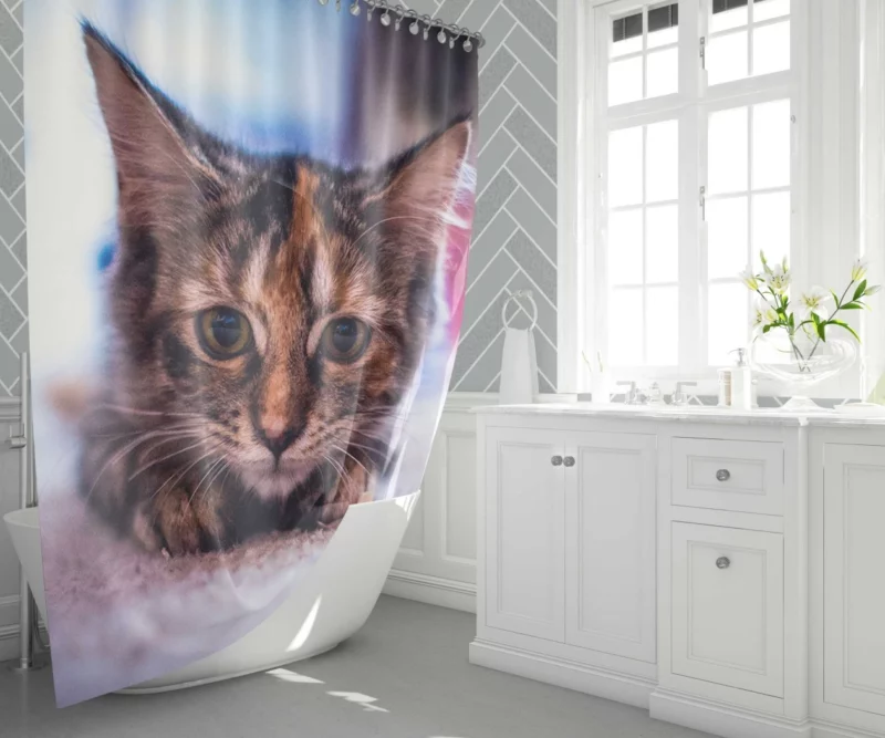 Restful Kitten Feline Serenity Shower Curtain 1