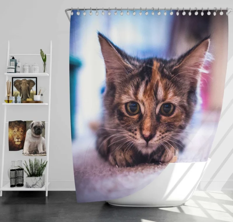 Restful Kitten Feline Serenity Shower Curtain