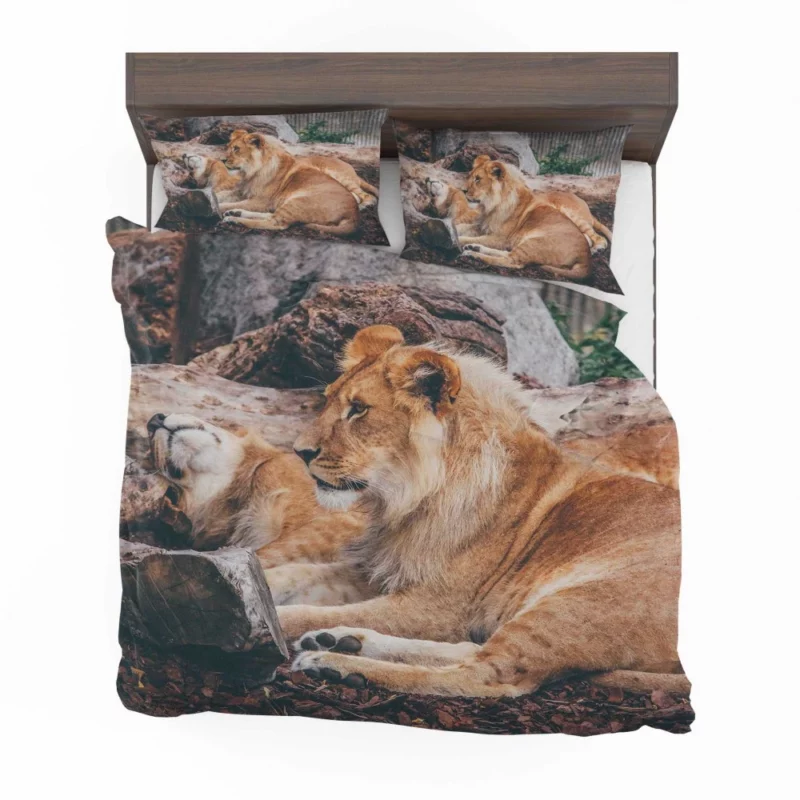 Resting Lion Regal Beauty Majestic Aura Bedding Set 1