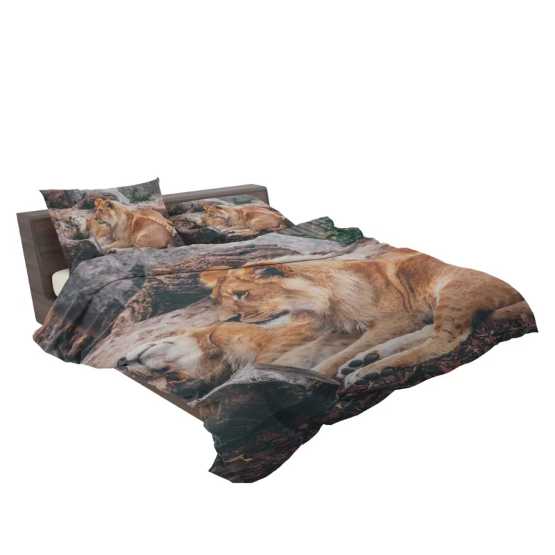 Resting Lion Regal Beauty Majestic Aura Bedding Set 2