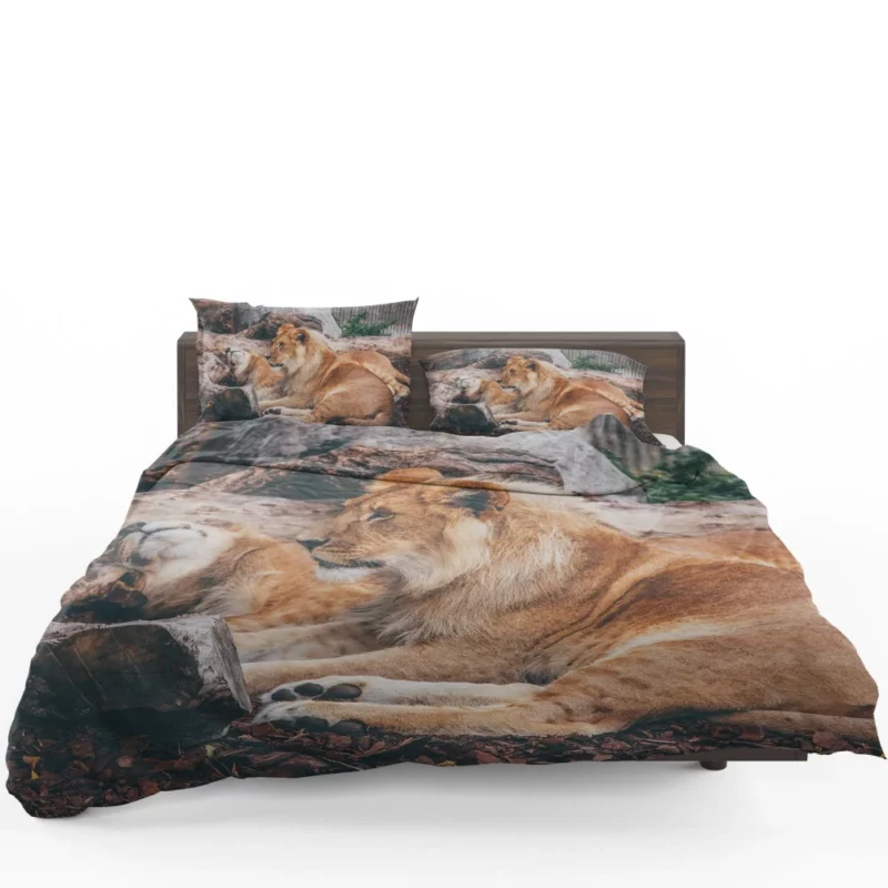 Resting Lion Regal Beauty Majestic Aura Bedding Set