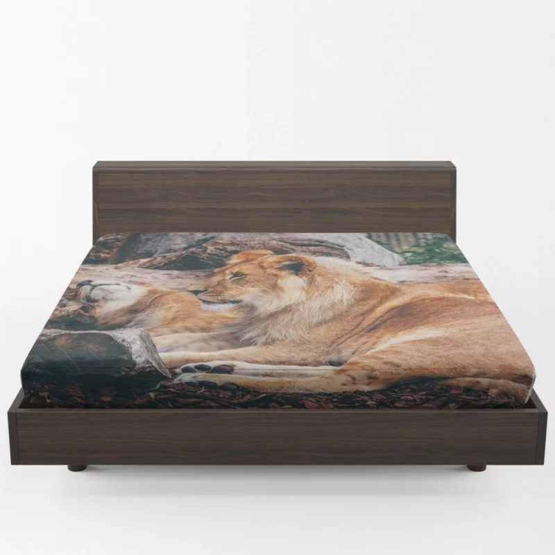 Resting Lion Regal Beauty Majestic Aura Fitted Sheet