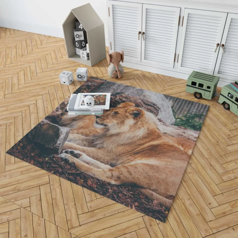 Resting Lion Regal Beauty Majestic Aura Rug 1