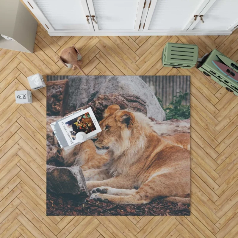 Resting Lion Regal Beauty Majestic Aura Rug