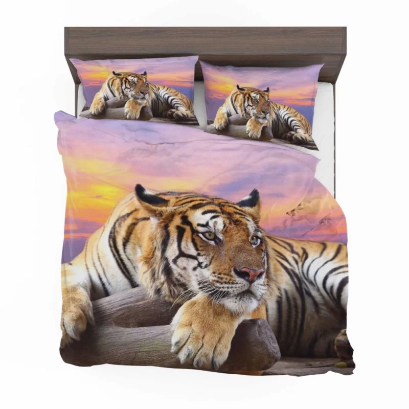 Resting Tiger at Sunset Majestic Grace Bedding Set 1