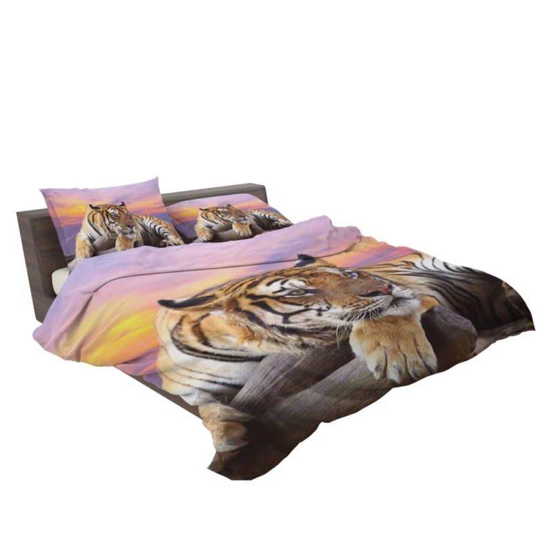 Resting Tiger at Sunset Majestic Grace Bedding Set 2