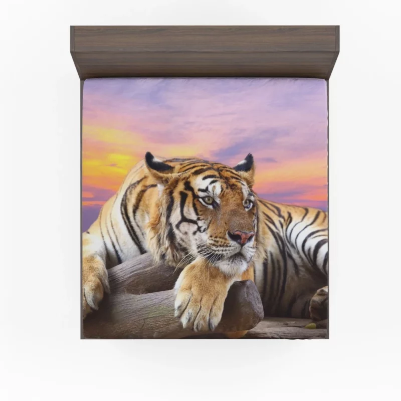 Resting Tiger at Sunset Majestic Grace Fitted Sheet 1