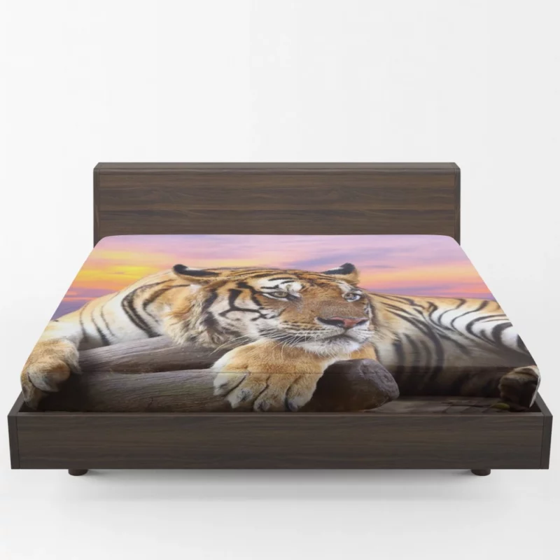 Resting Tiger at Sunset Majestic Grace Fitted Sheet