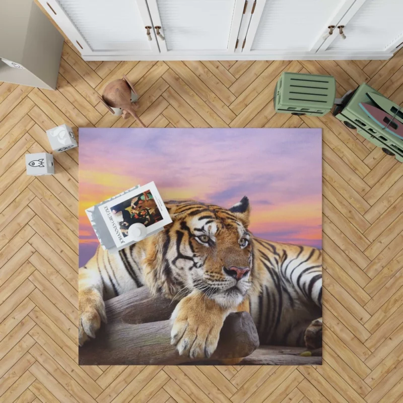 Resting Tiger at Sunset Majestic Grace Rug