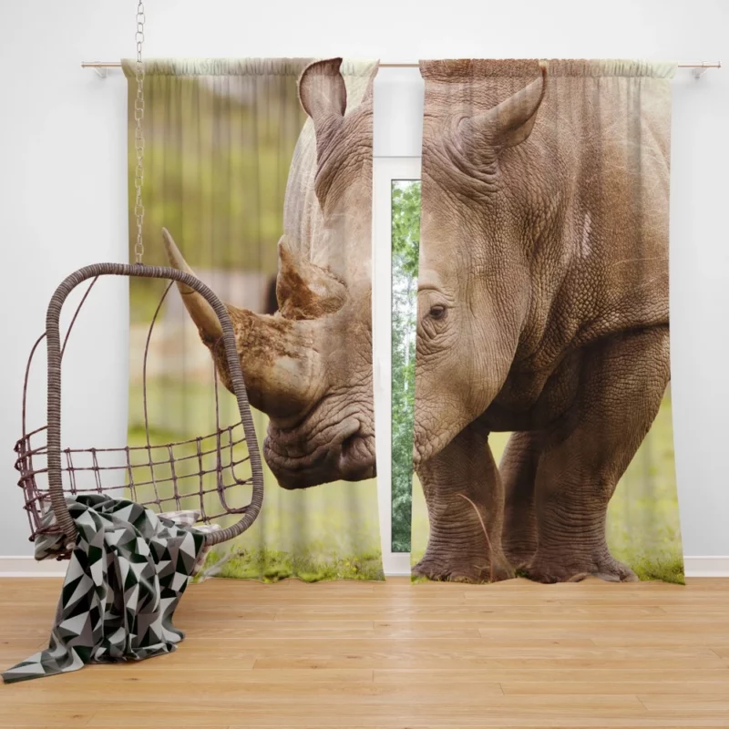 Rhino Depth of Field Majesty Curtain