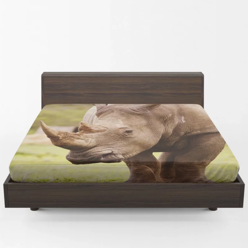 Rhino Depth of Field Majesty Fitted Sheet