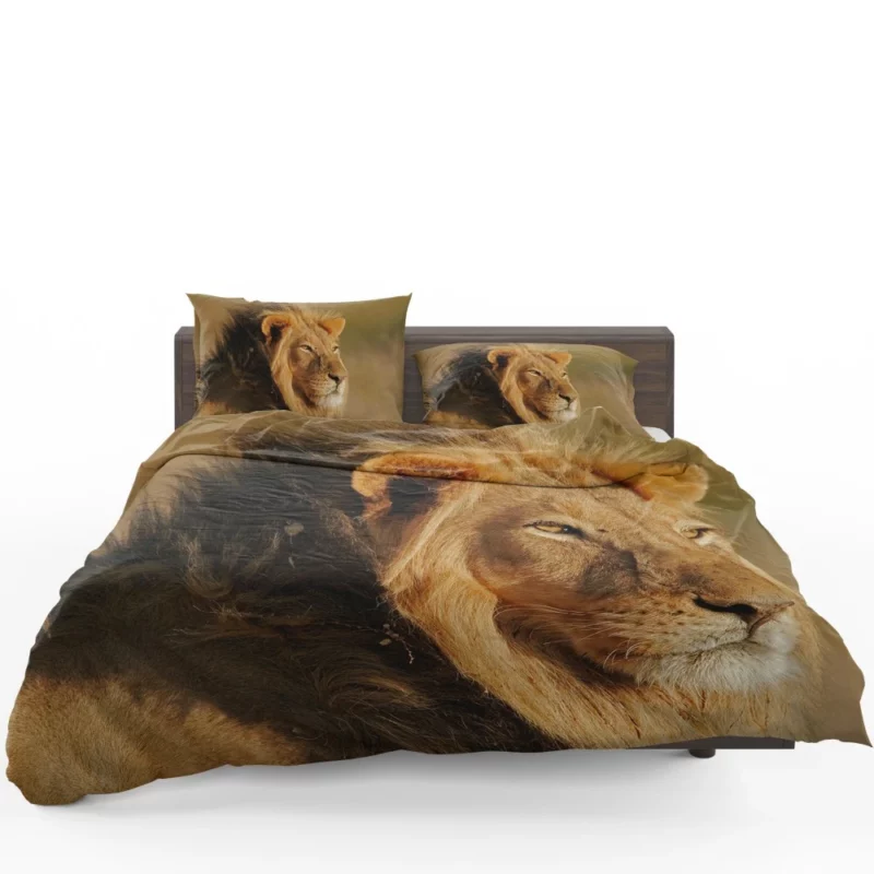 Roaring Lion Fierce Bedding Set