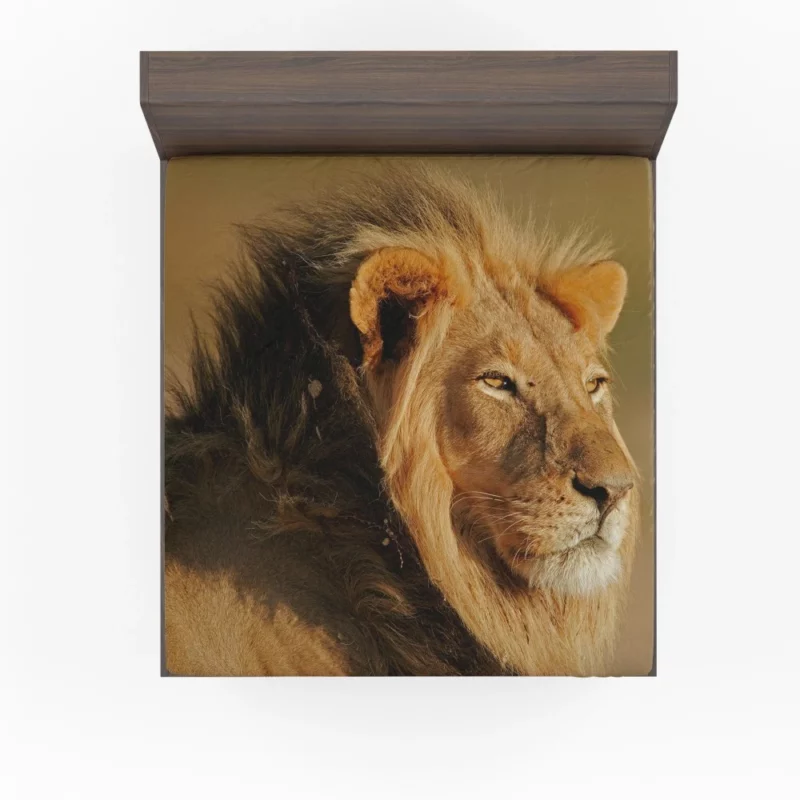 Roaring Lion Fierce Fitted Sheet 1