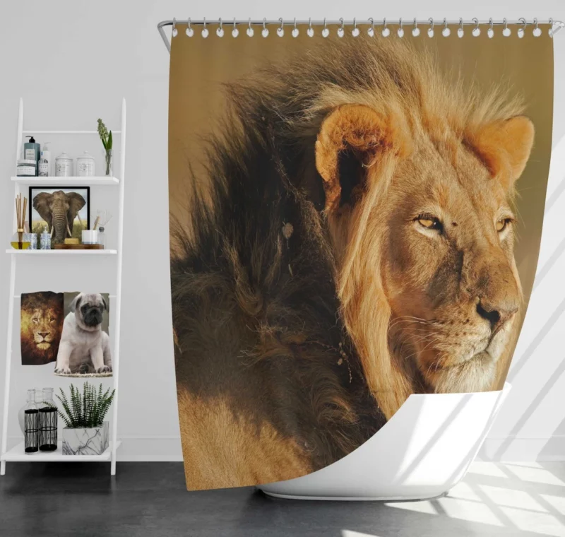 Roaring Lion Fierce Shower Curtain