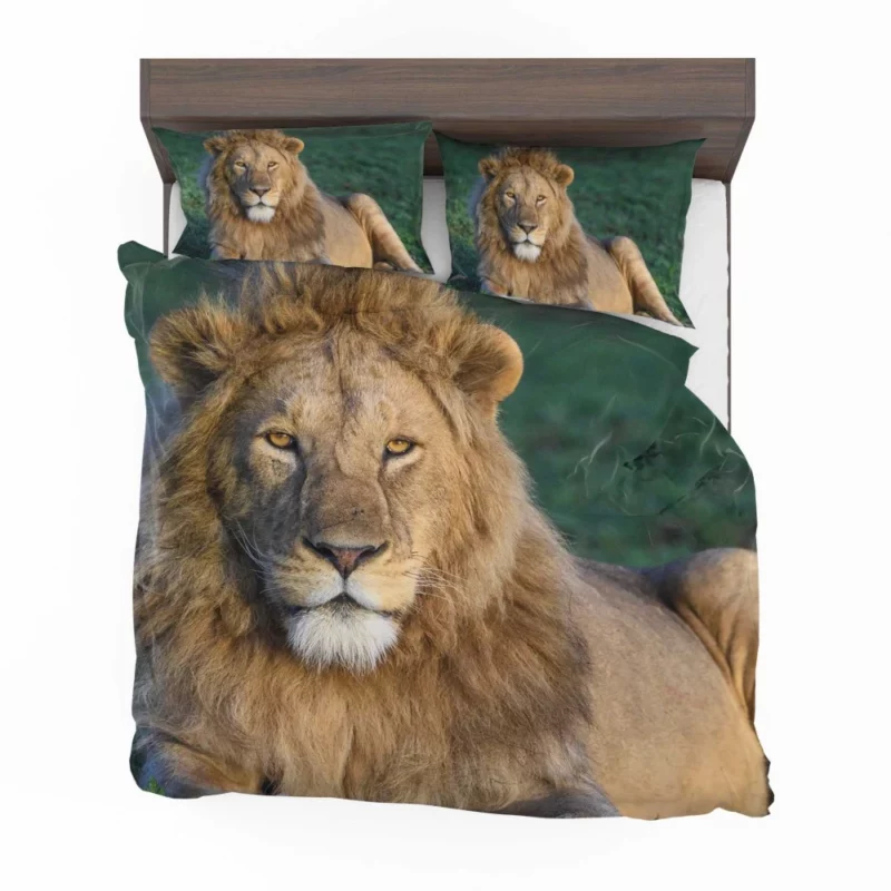 Roaring Lion Majesty Bedding Set 1