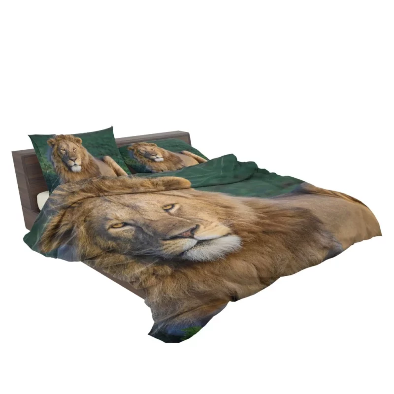 Roaring Lion Majesty Bedding Set 2