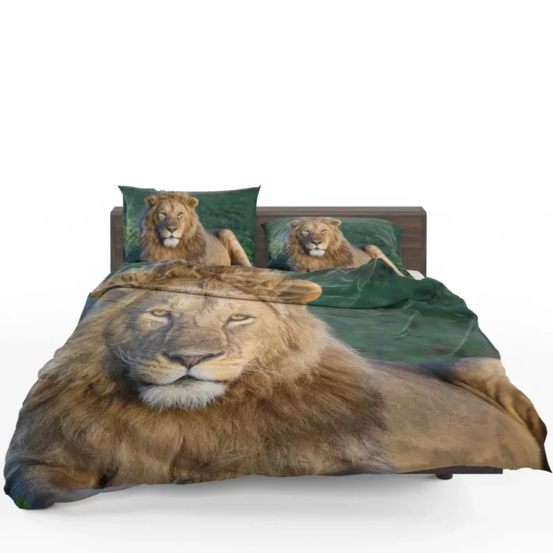 Roaring Lion Majesty Bedding Set