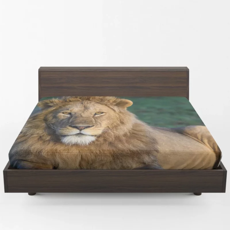 Roaring Lion Majesty Fitted Sheet