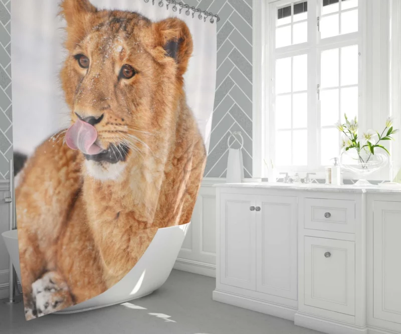 Roaring Lion Majesty King of Wilderness Shower Curtain 1