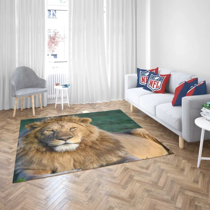 Roaring Lion Majesty Rug 2