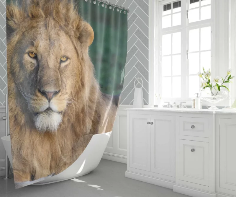 Roaring Lion Majesty Shower Curtain 1