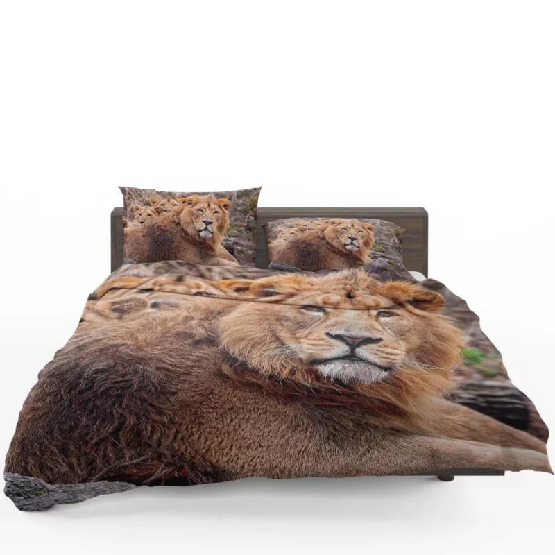 Roaring Majesty Lion Dominant Roar Bedding Set