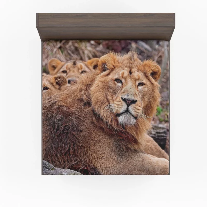 Roaring Majesty Lion Dominant Roar Fitted Sheet 1