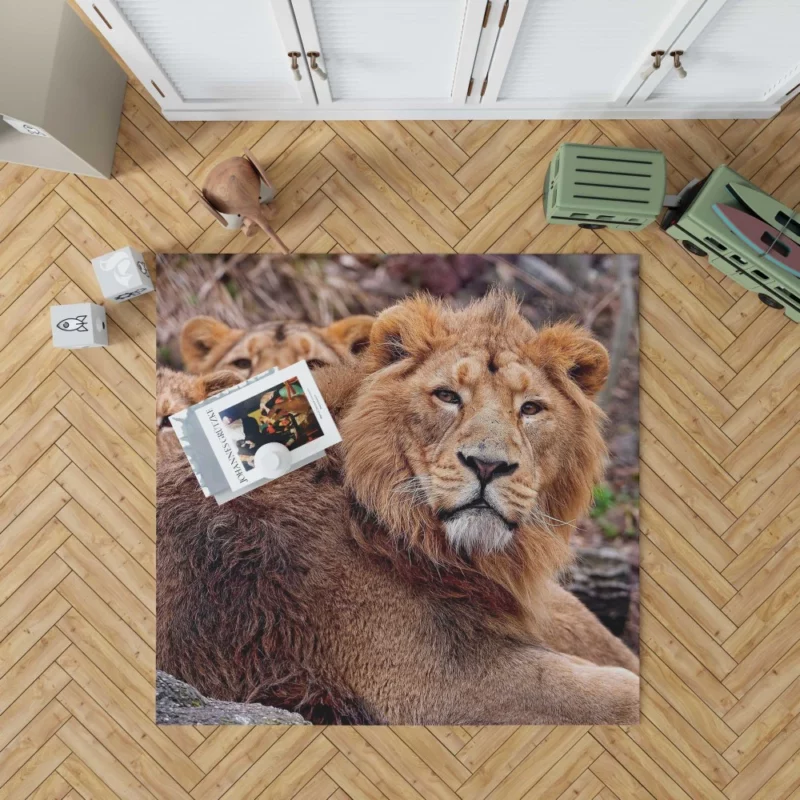 Roaring Majesty Lion Dominant Roar Rug