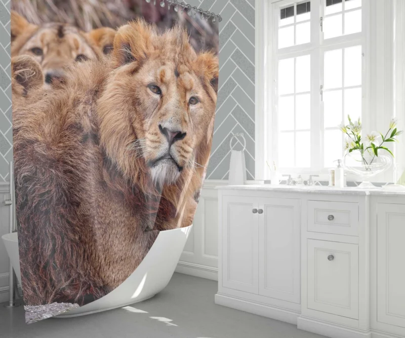 Roaring Majesty Lion Dominant Roar Shower Curtain 1