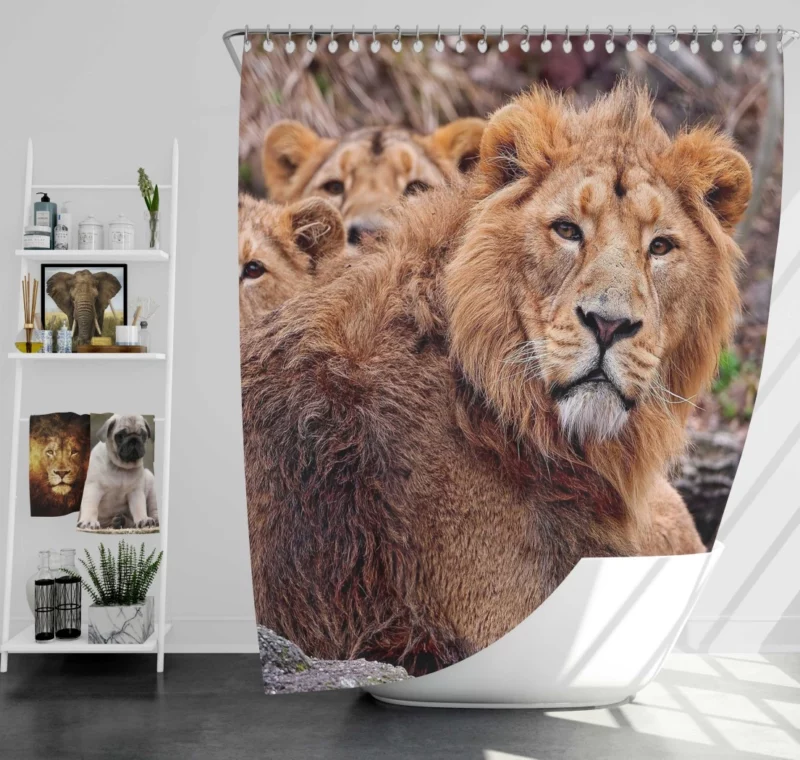 Roaring Majesty Lion Dominant Roar Shower Curtain