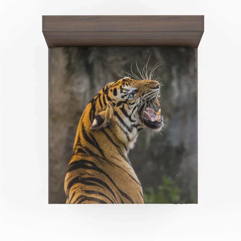 Roaring Tiger A Symphony of Strength Fitted Sheet 1