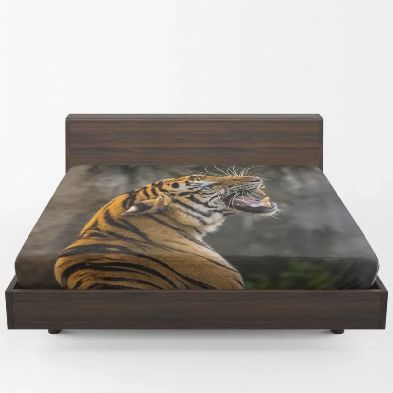 Roaring Tiger A Symphony of Strength Fitted Sheet