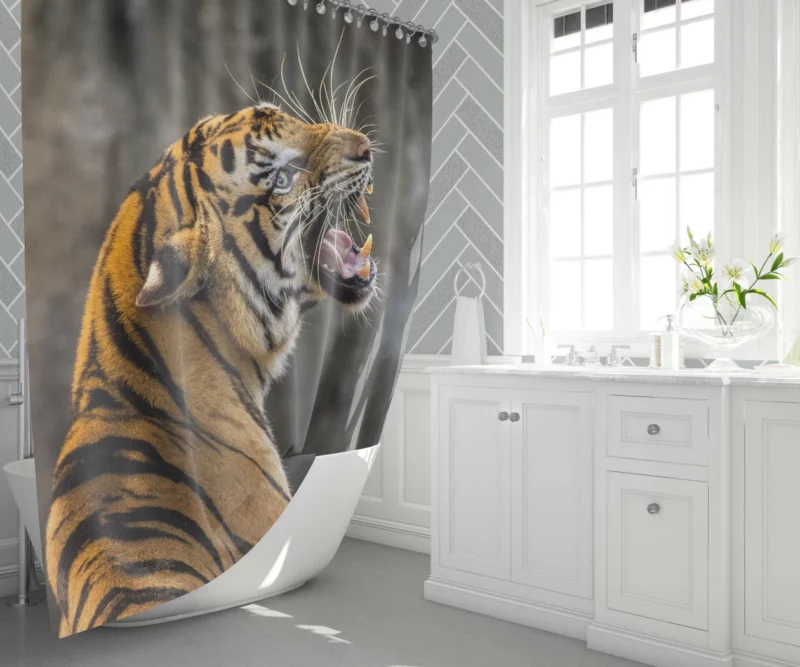 Roaring Tiger A Symphony of Strength Shower Curtain 1