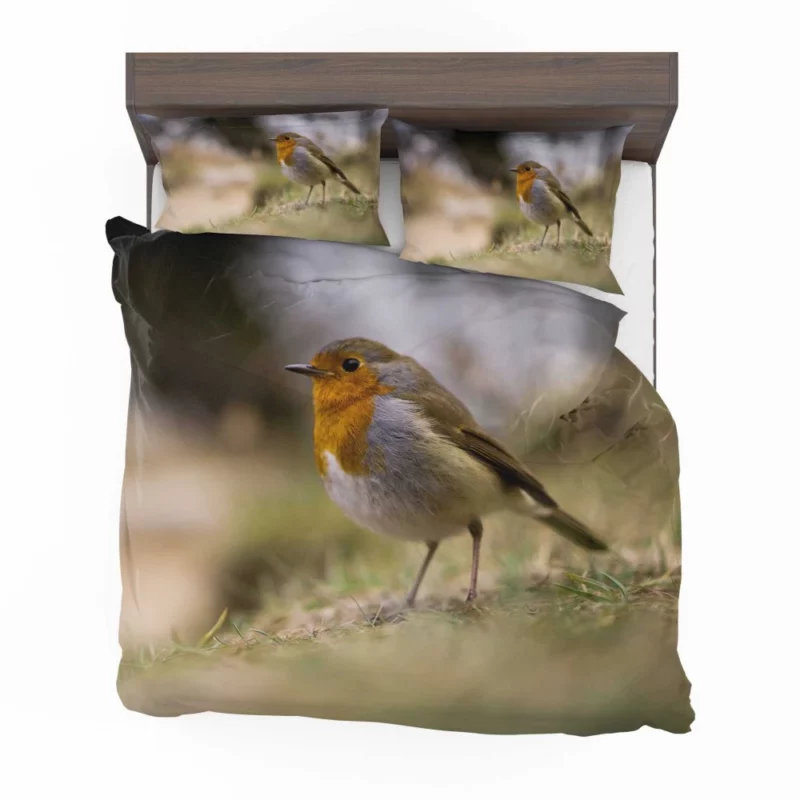 Robin Joyful Song Melodic Avian Bedding Set 1