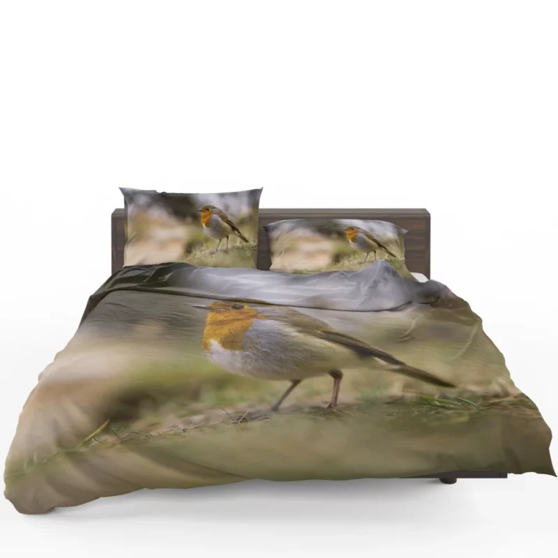 Robin Joyful Song Melodic Avian Bedding Set